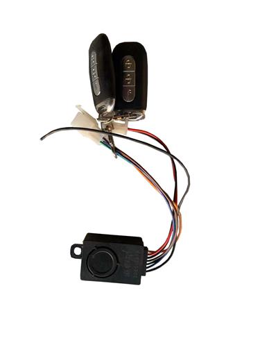 IVA E-GO S2 Alarm