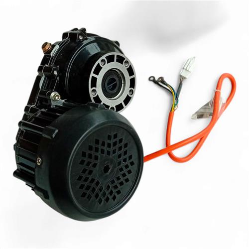IVA S1000 Motor